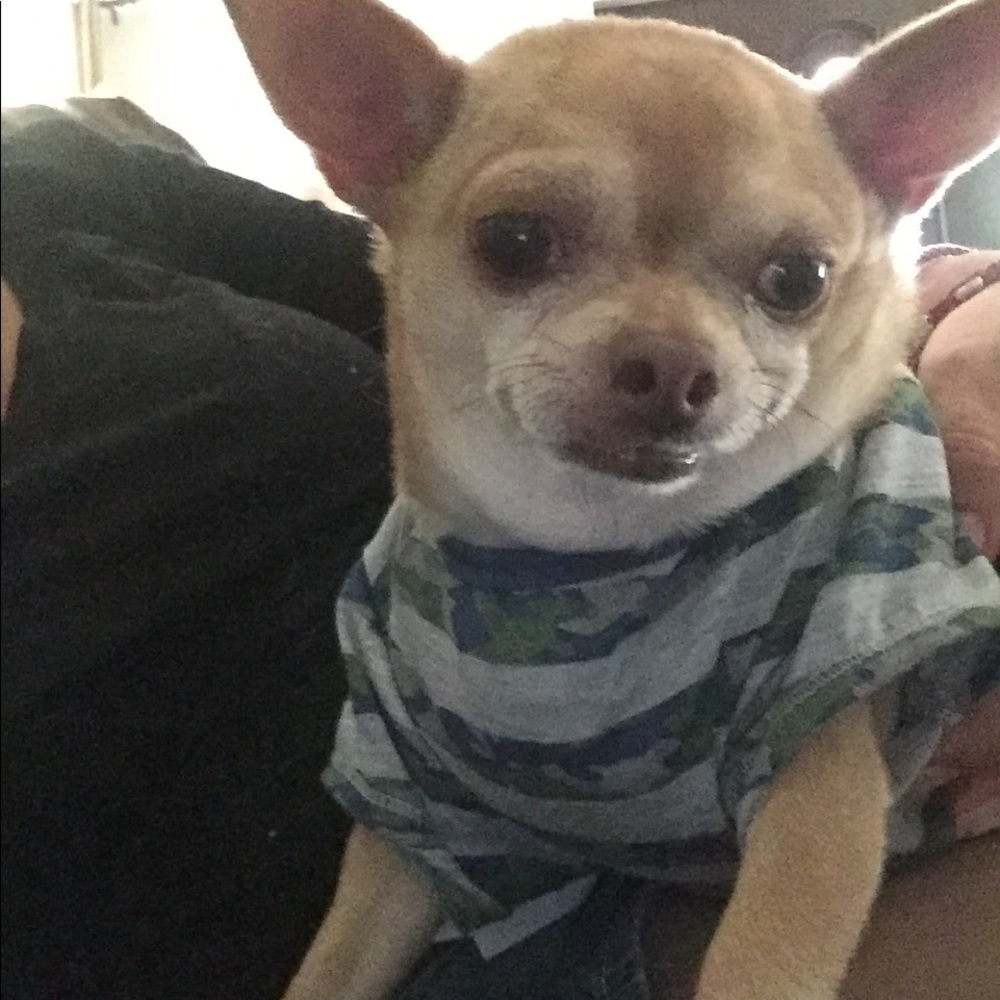 Meet your Posher, Martha elena